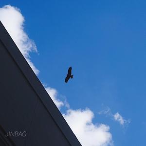 日本性教育女子全部裸体
